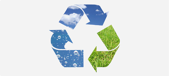 Environmental Statement