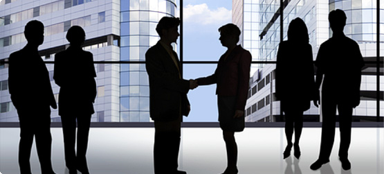 Organisational Development and Design